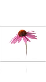 Herpes Natural Remedies