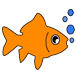 goldfish care