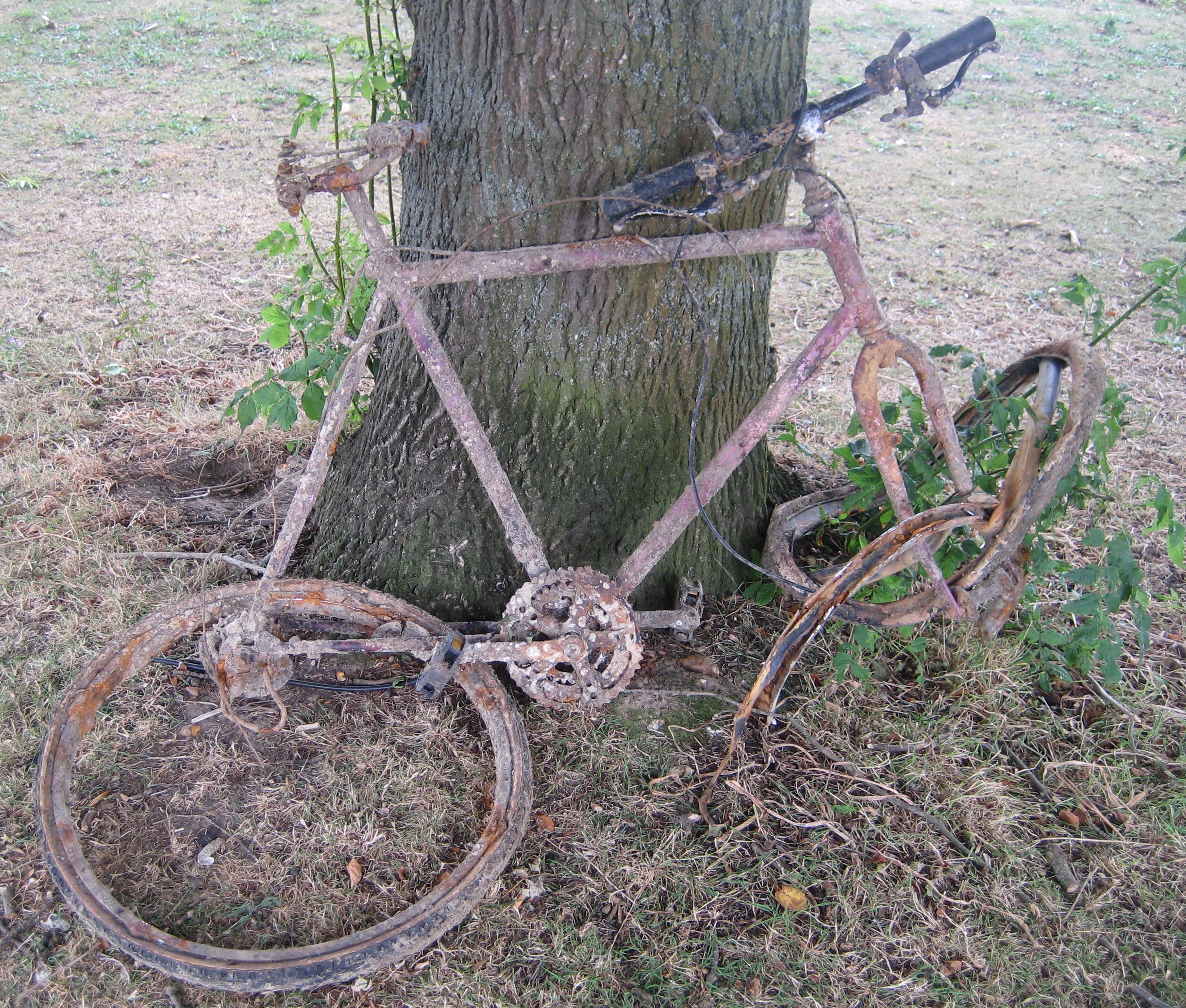 RustyBikec